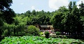 長沙出發(fā)到花明樓、韶山、張家界國家森林公園、天門仙山國家森林公園四日游